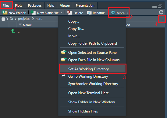 Print da tela do Rstudio